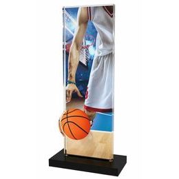Akrylátová trofej APLAM11 | Basketball