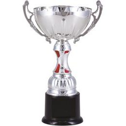 Pokal STANDARD S0130