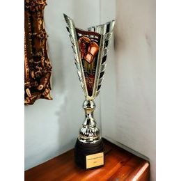 Sportpokal GL14 | Kampfsport