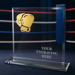 Skleněná trofej CRM20241M10 | Bojová umění