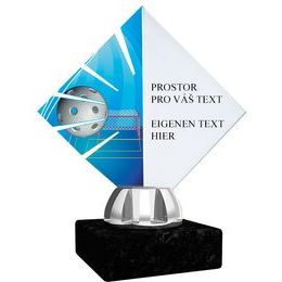 Akrylátová trofej ACL15NM01 | Florbal