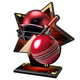 Kovová trofej SAM01M10 | Cricket