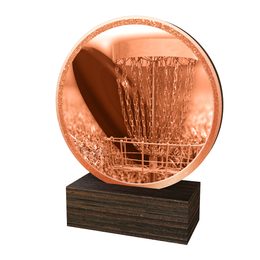 Dřevěná plaketa TFRW919 | Discgolf