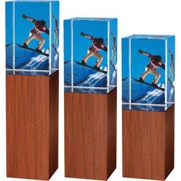 Glastrophäe -Holz-Glas kombination CRS4021 | Snowboard