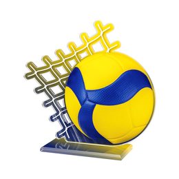 Akrylátová trofej AWF M67 | Volejbal