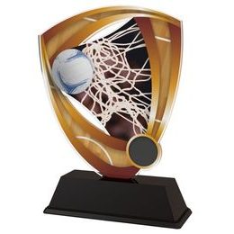 Akrylátová trofej CACUF001M20 | Netball