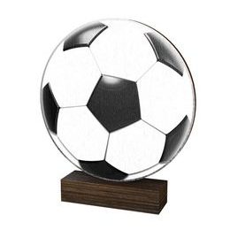Dřevěná plaketa WF256 | Fotbal