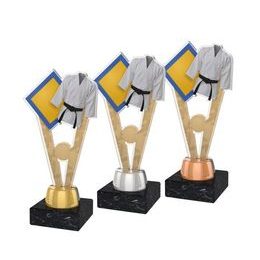 Akrylátová trofej ACUTMINIM15 | Bojová umění