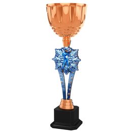 Trophäe ACUPW2025M14 | Biathlon