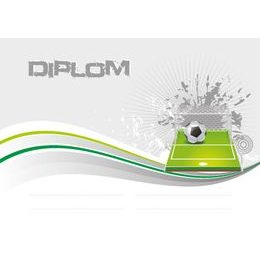 Diplom DP0030