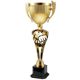 Trofej ACUPMR2026M20 | Bojová umění