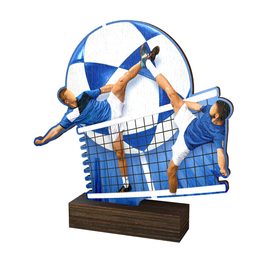 Holztafel WF375 | Netzball