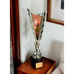 Sportovní pohár GL33 | Badminton