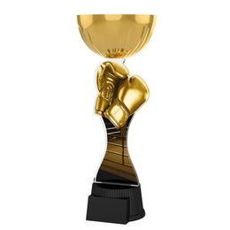 Akrylátová trofej ACUPCGNMINIM13 | Bojová umění
