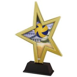 Akrylátová trofej STAR002M14