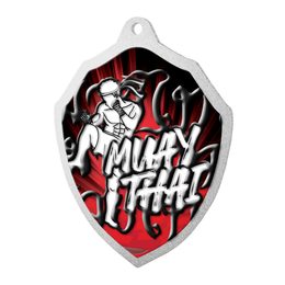 Kovová medaile MDM02M24 | Bojová umění