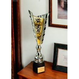 Sportpokal GL51 | Triathlon