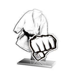 Akrylátová trofej AWF M57 | Bojová umění