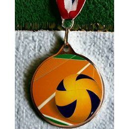 Medaillen MDLMAXM49 | Volleyball