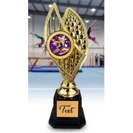 Designová trofej AV1M29 | Gymnastika