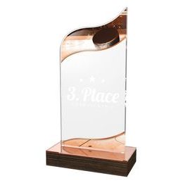 Akrylátová trofej WPLA548 | Hokej