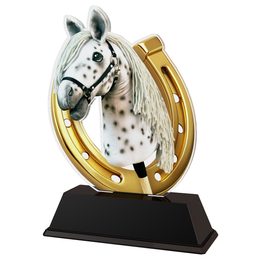 Akrylátová trofej FA200M41 | Hobbyhorsing