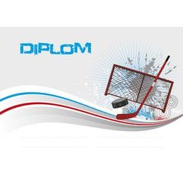Diplom DP0029