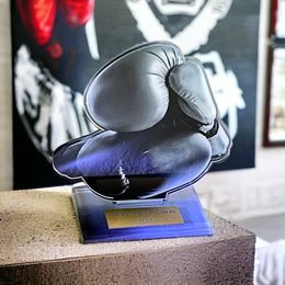 Akrylátová trofej AWF M14 | Bojová umění