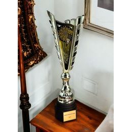 Sportpokal GL34 | Darts