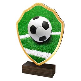 Holztafel TFRW312 | Fußball