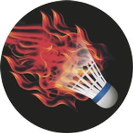 Emblem ES69 | Badminton