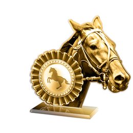 Akrylátová trofej AWF M54 | Jezdectví