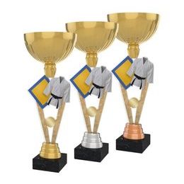 Akrylátová trofej ACUPGOLD M15 | Bojová umění