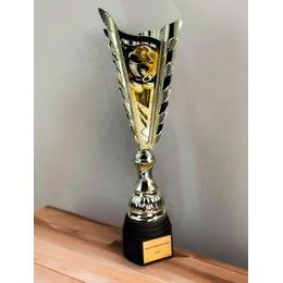 Sportpokal GL21 | Eishockey