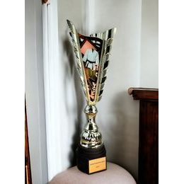 Sportovní pohár GL35 | Bojová umění