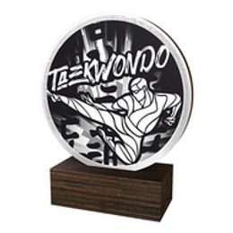 Dřevěná plaketa TFRW604 | Bojová umění