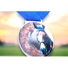 Kovová medaile MDLMIDM11 | Jezdectvi