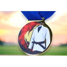 Kovová medaile MDLMIDM17 | Bojová umění