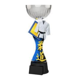Akrylátová trofej ACUPCSMINIM40 | Bojová umění