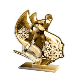 Akrylátová trofej AWF M71 | Běžky