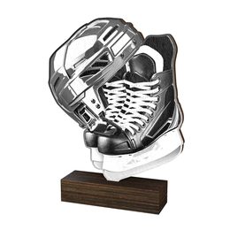 Holztafel WF317 | Eishockey