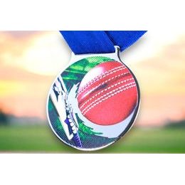 Kovová medaile MDLMIDM25 | Cricket