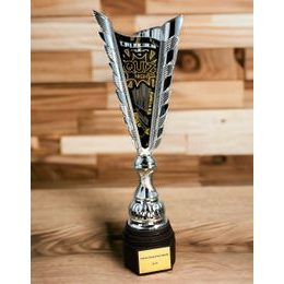 Sport Pokal SL49 | Quiz