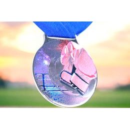 Kovová medaile MDLMIDM05 | Bojová umění