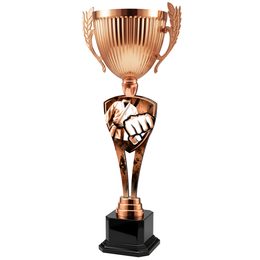 Trophäe ACUPMR2026M20 | Kampfsport