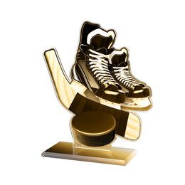 Akrylátová trofej AWF M60 | Hokej