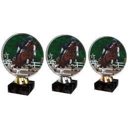 Acryltrophäe ACL2103M38 | Reitsport