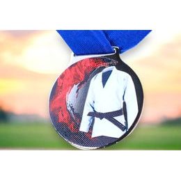 Kovová medaile MDLMIDM17 | Bojová umění