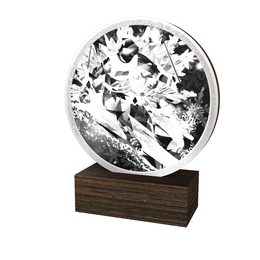 Holztafel TFRW755 | Skifahren