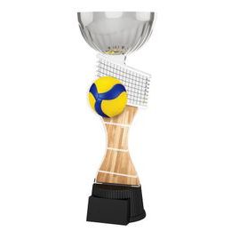 Akrylátová trofej ACUPCSMINIM26 | Volejbal